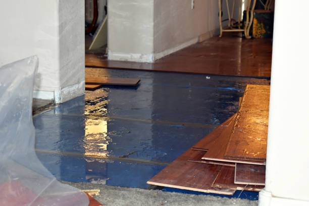 Professional Water Extraction technician working in Moreland, ID